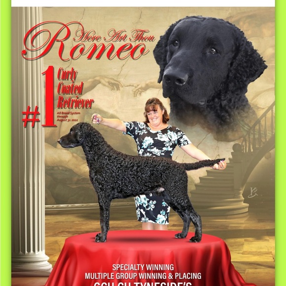 Meet your Posher, Mary - Picture 4 of 5